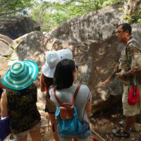 Walking Tours