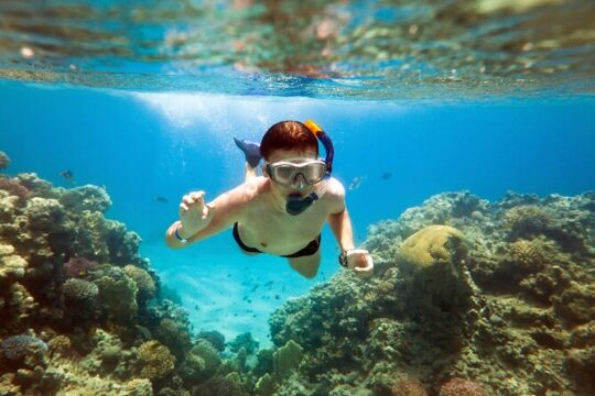 Acapulco Snorkeling Tour