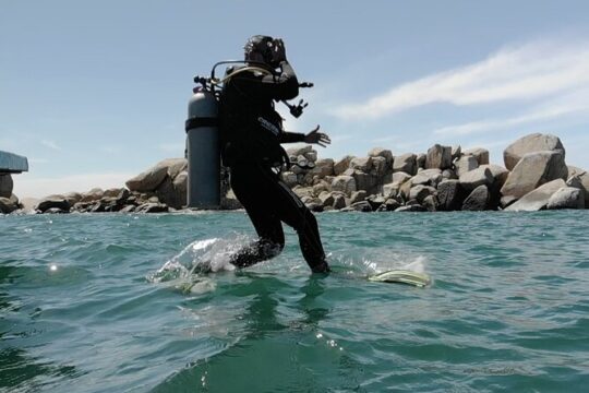 Acapulco Beginners Scuba Diving Course