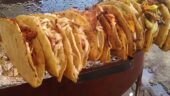 Great taco tour