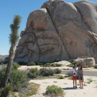 4WD, ATV & Off-Road Tours